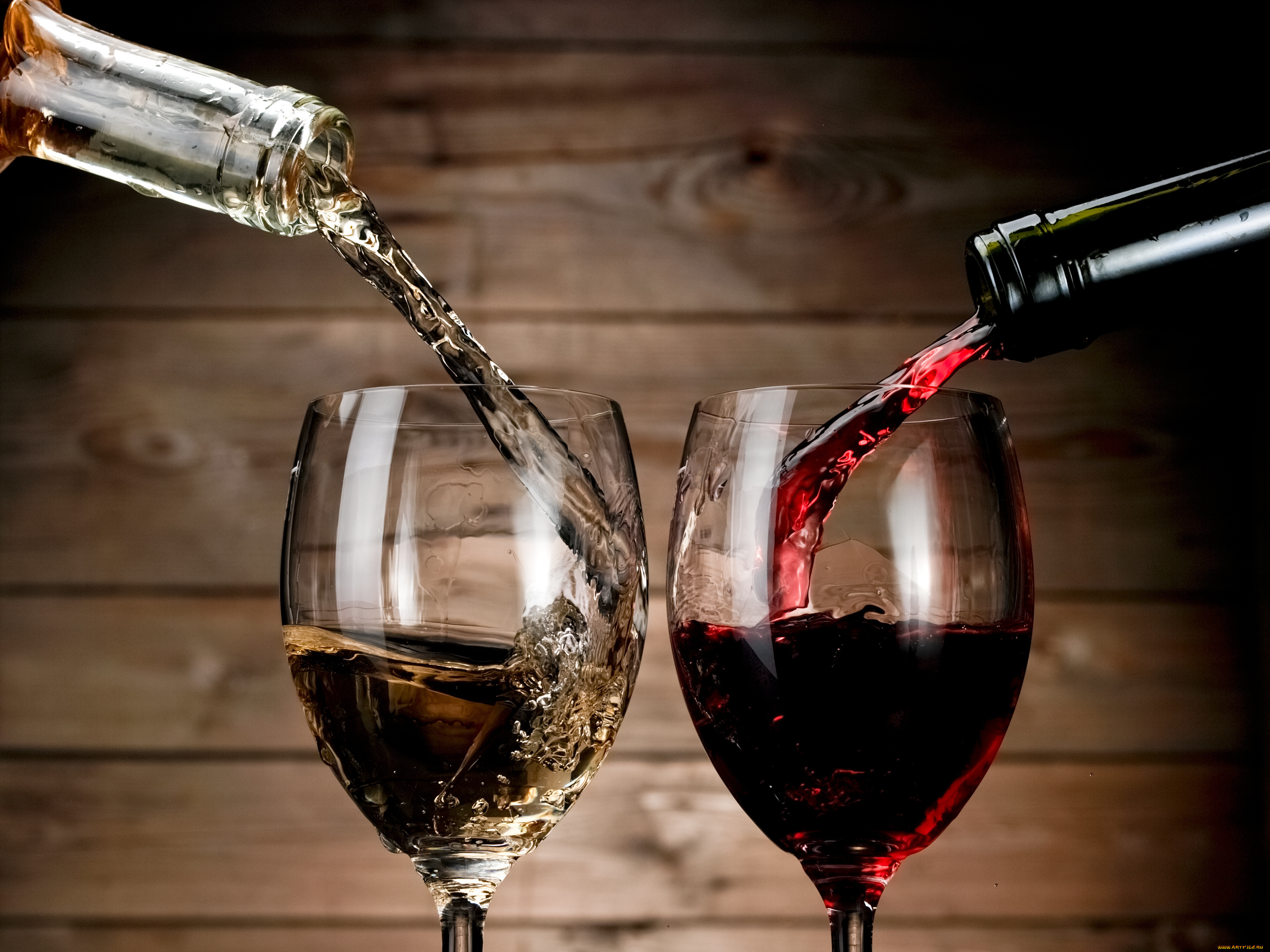 Рюмка красного вина. Вино Донской Мустанг. Красное вино. Бокал с вином. Фужер с вином.